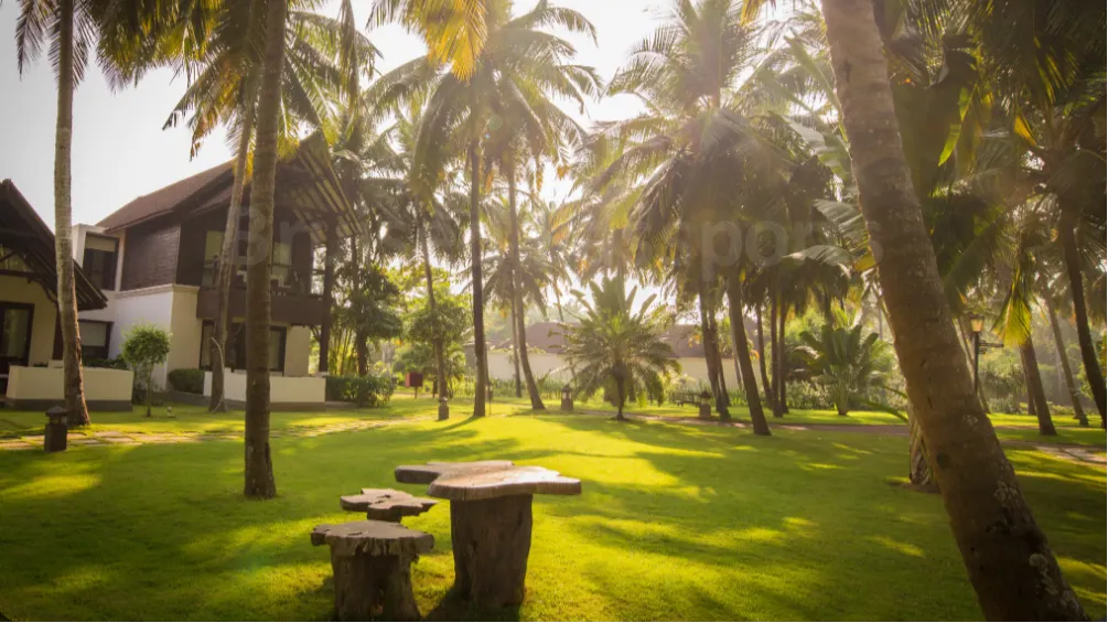 Aamra Lawn